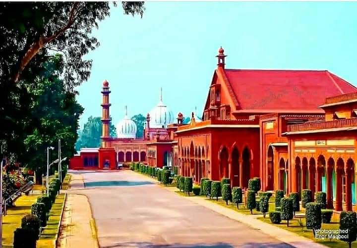 Aligarh Muslim University