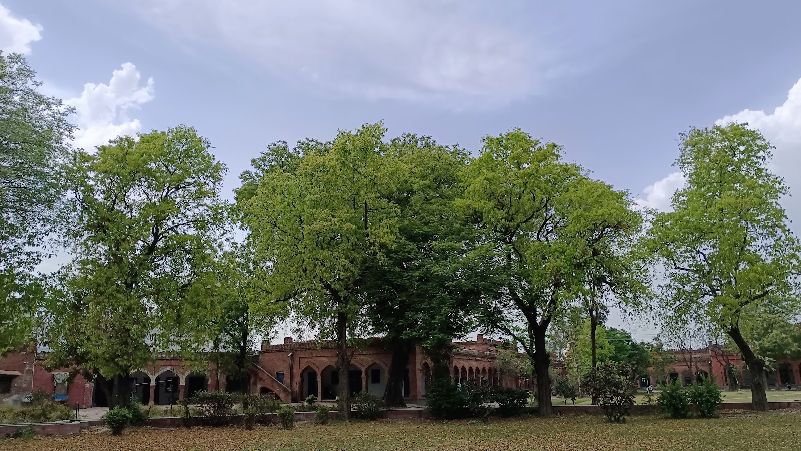 Municipal Garden Grounds