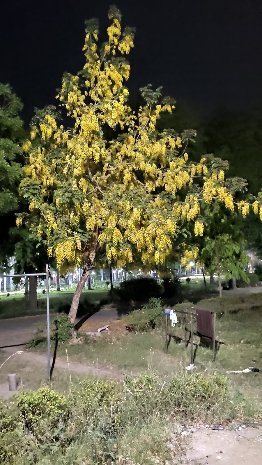 Municipal Garden Grounds