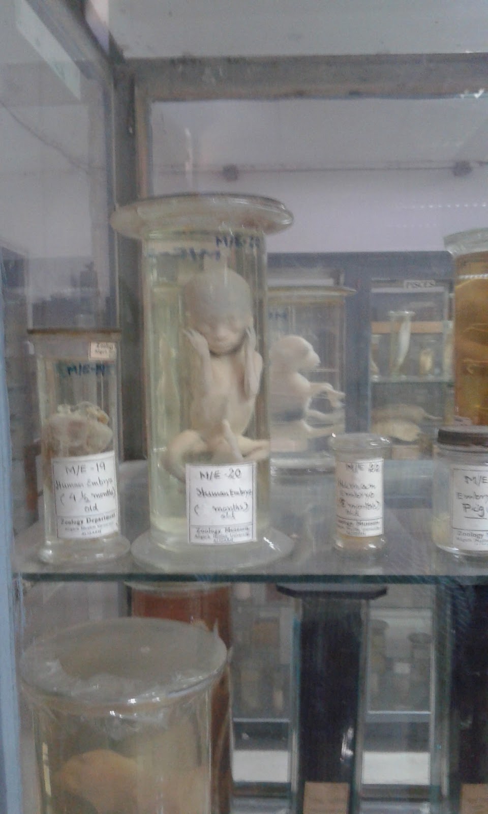 Aligarh Science Centre