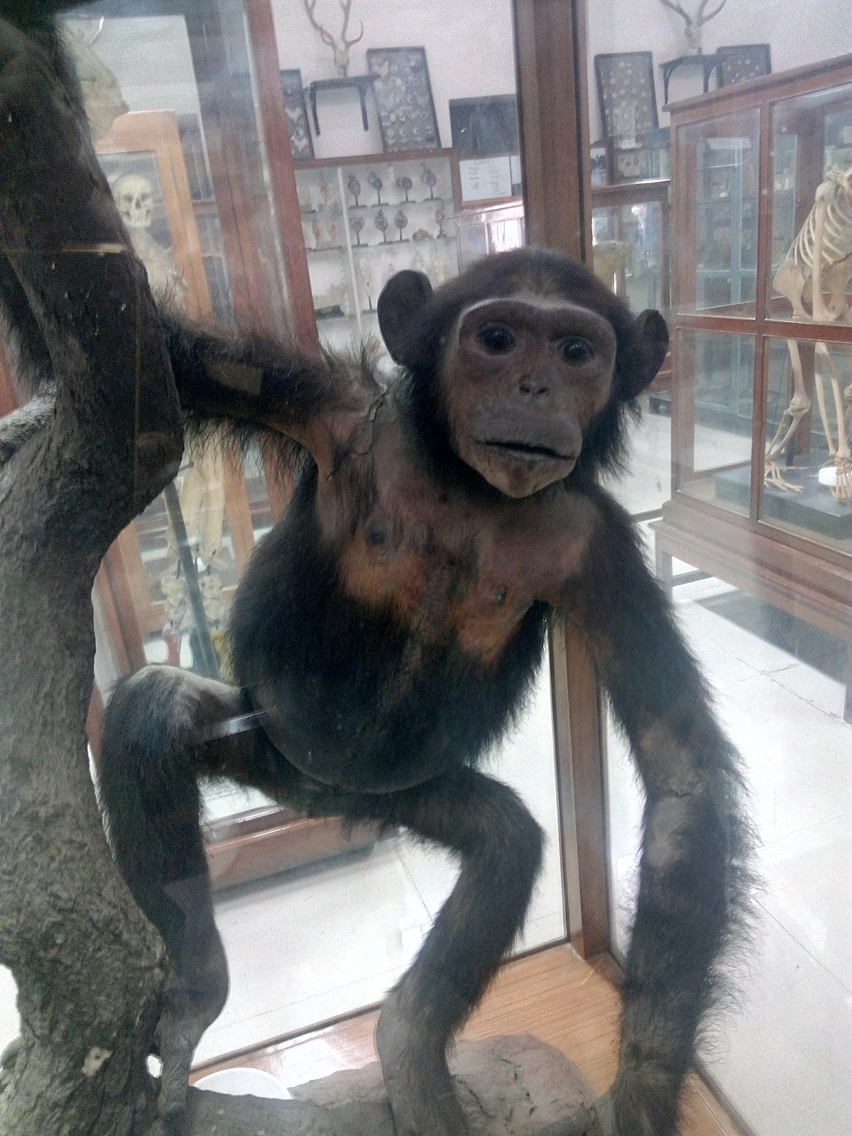 Aligarh Science Centre