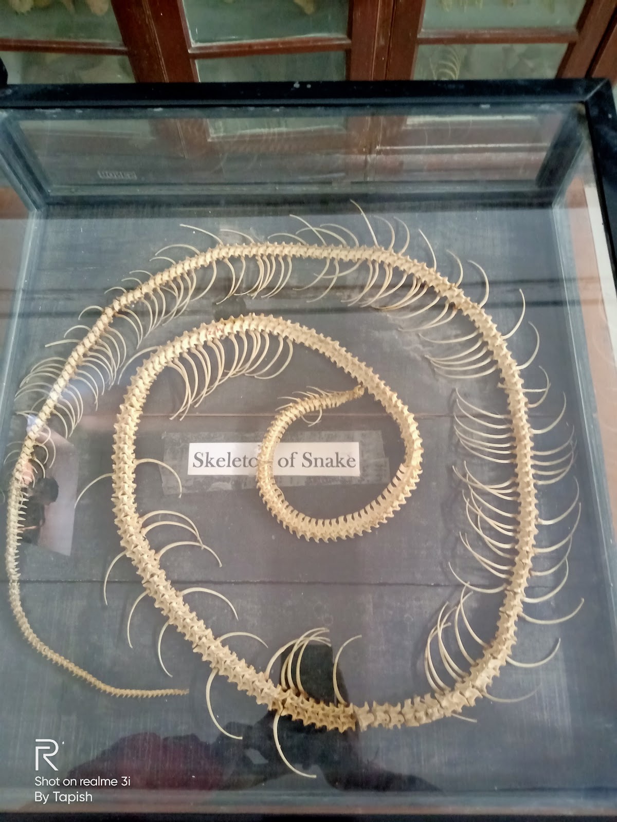 Aligarh Science Centre