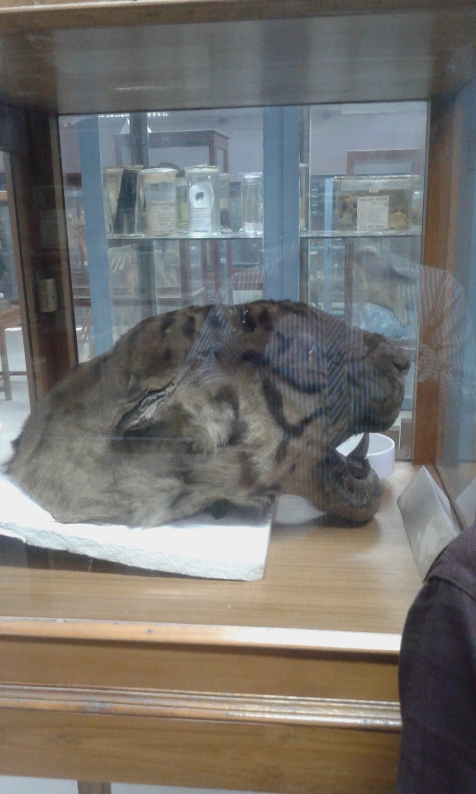 Aligarh Science Centre