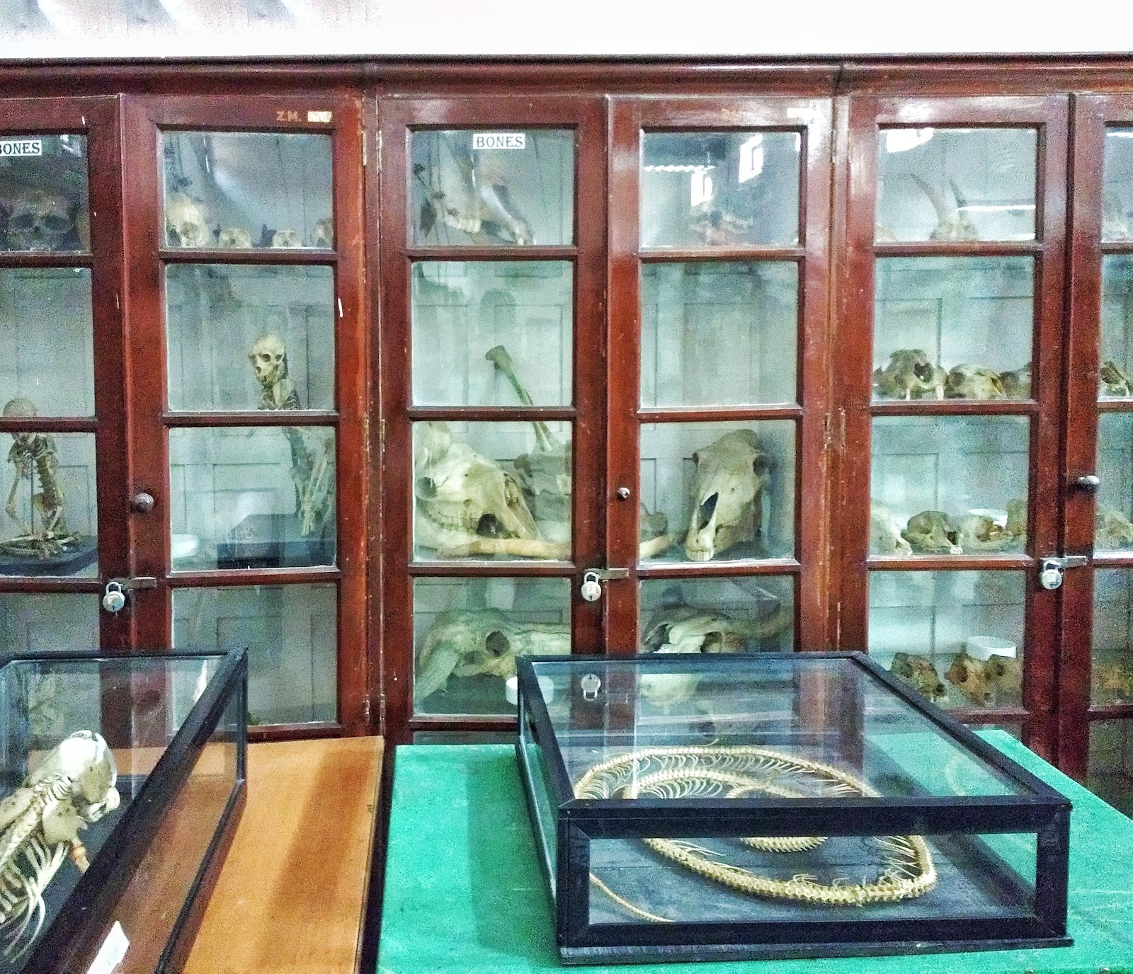 Aligarh Science Centre