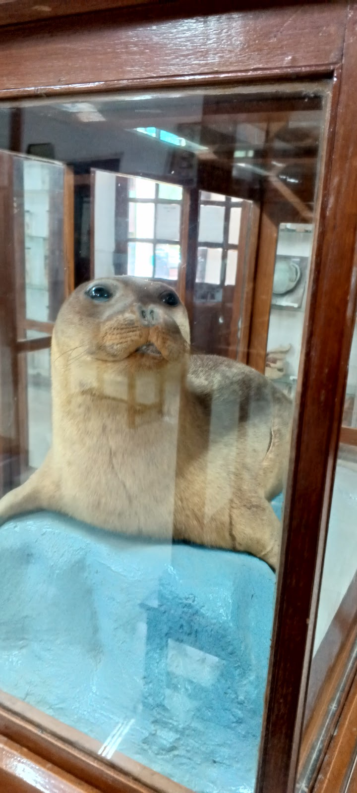 Aligarh Science Centre