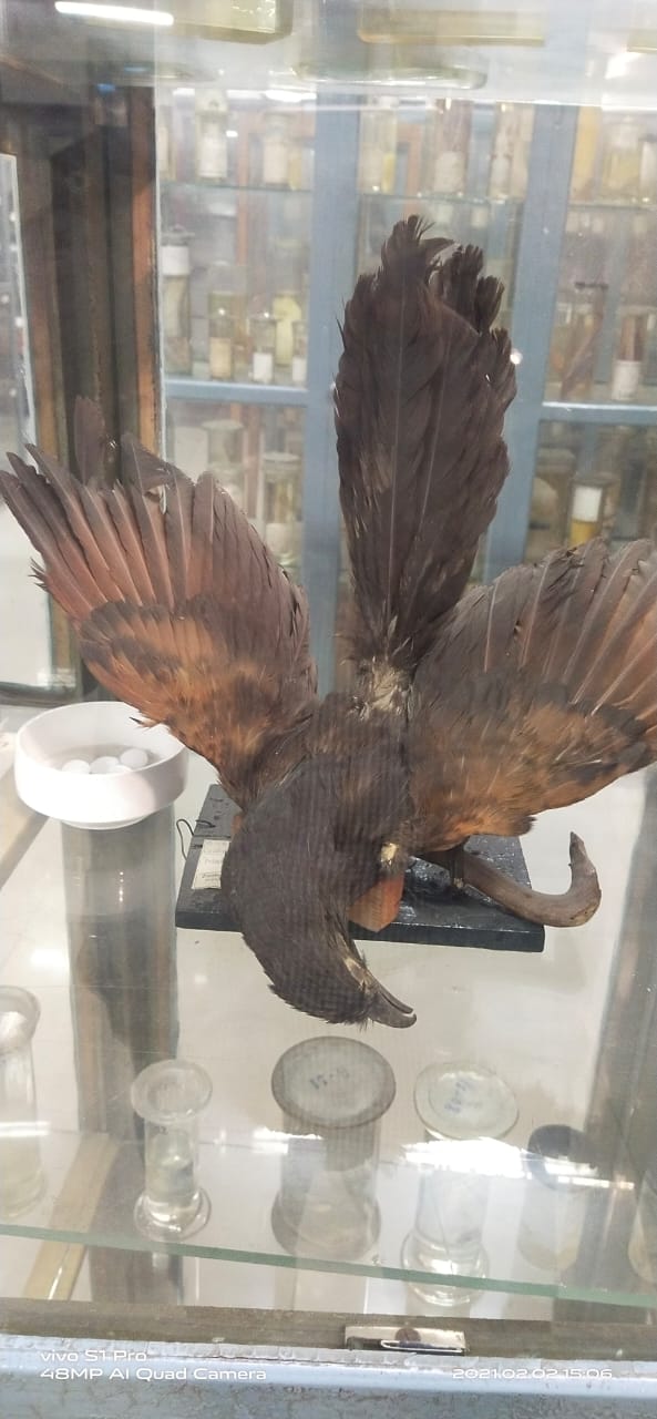 Aligarh Science Centre