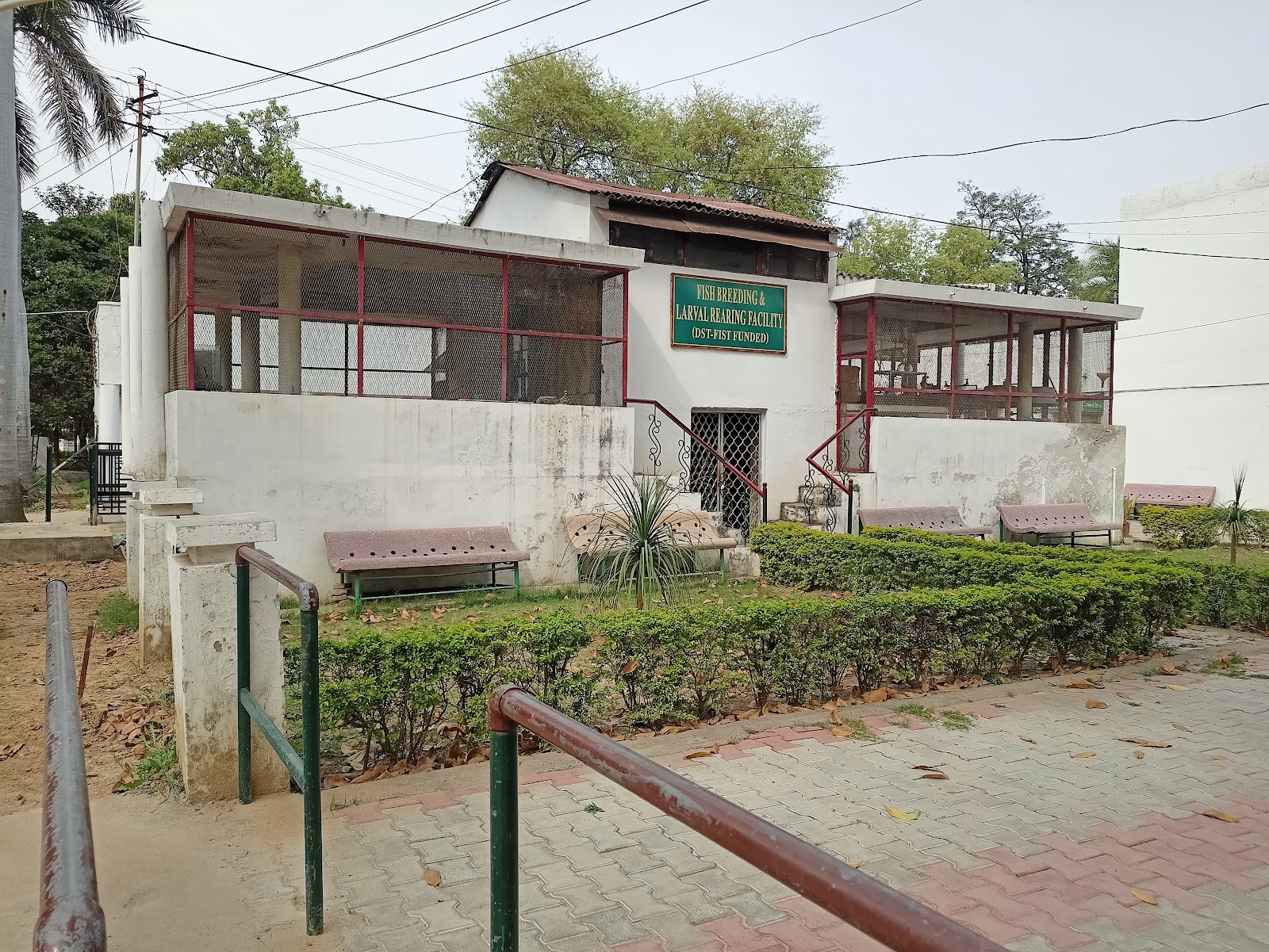 Aligarh Zoo
