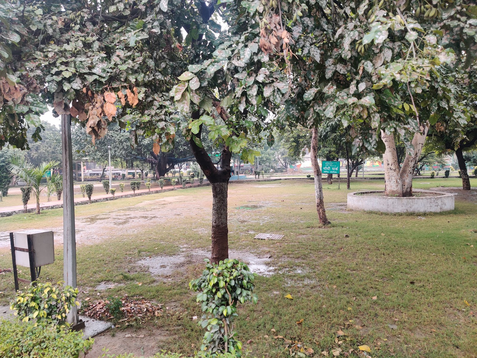Gandhi Park