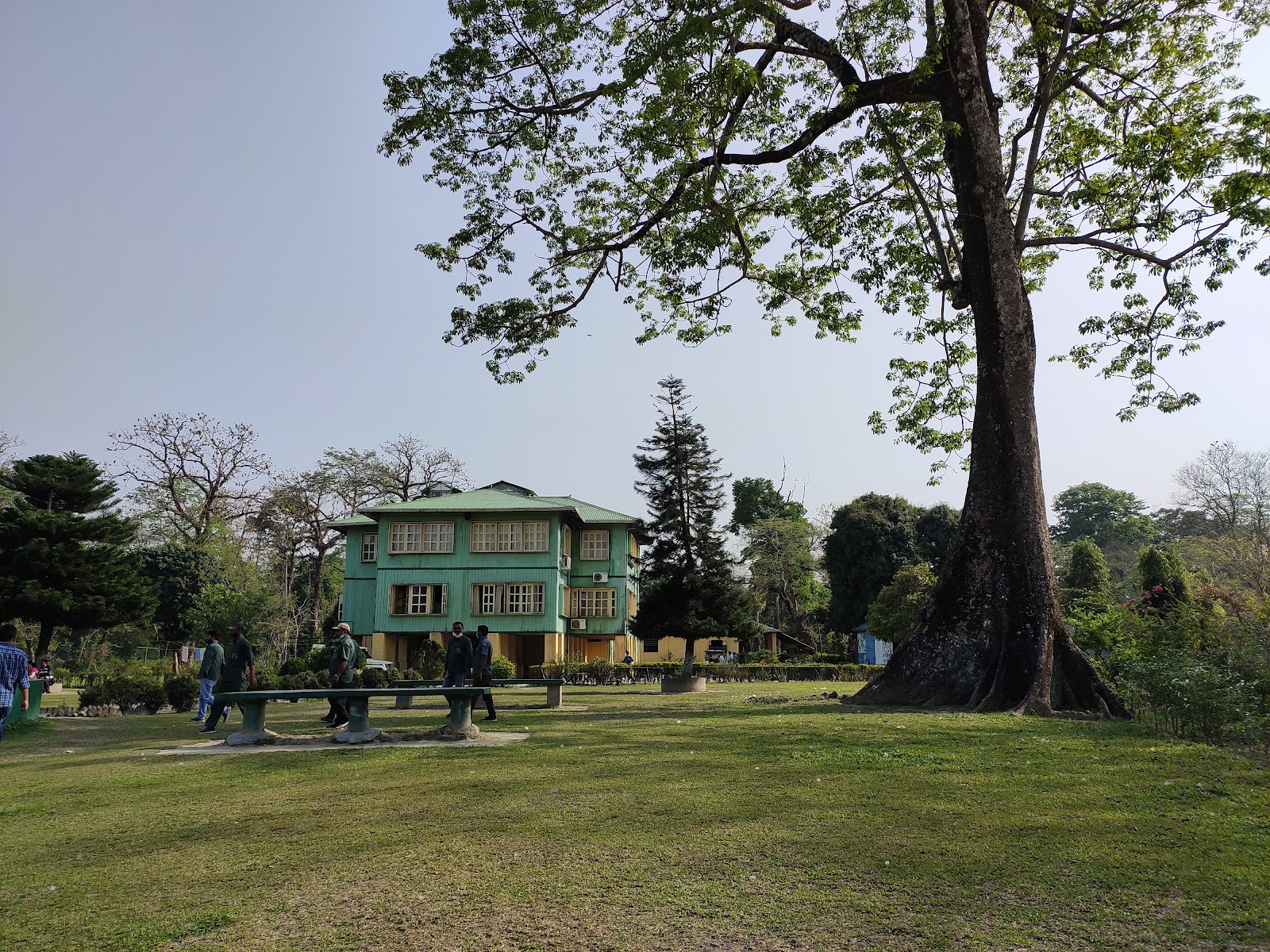 Jaldapara National Park
