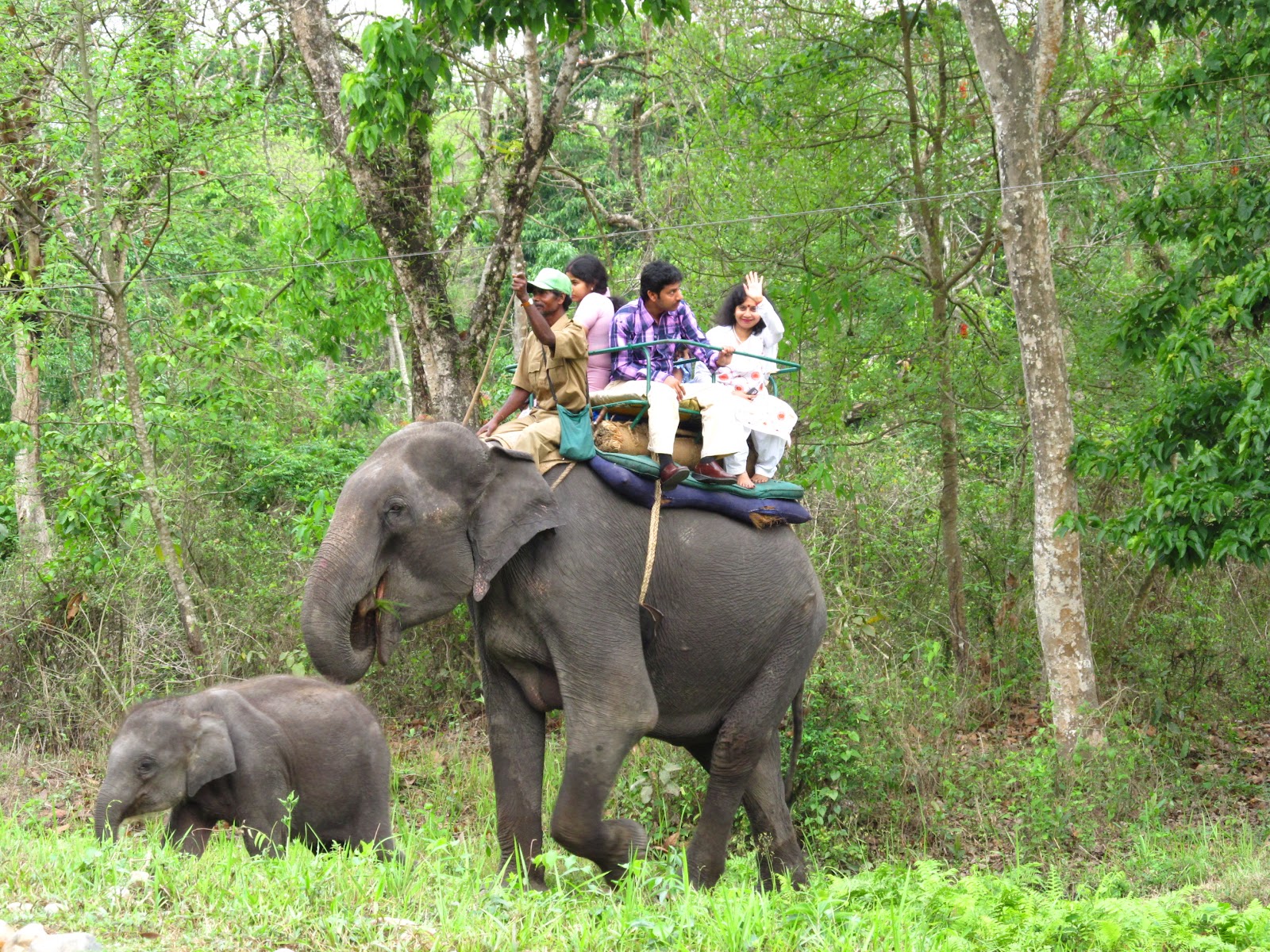 Jaldapara National Park