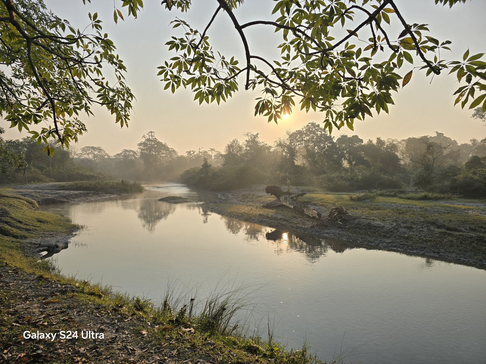 Jaldapara National Park