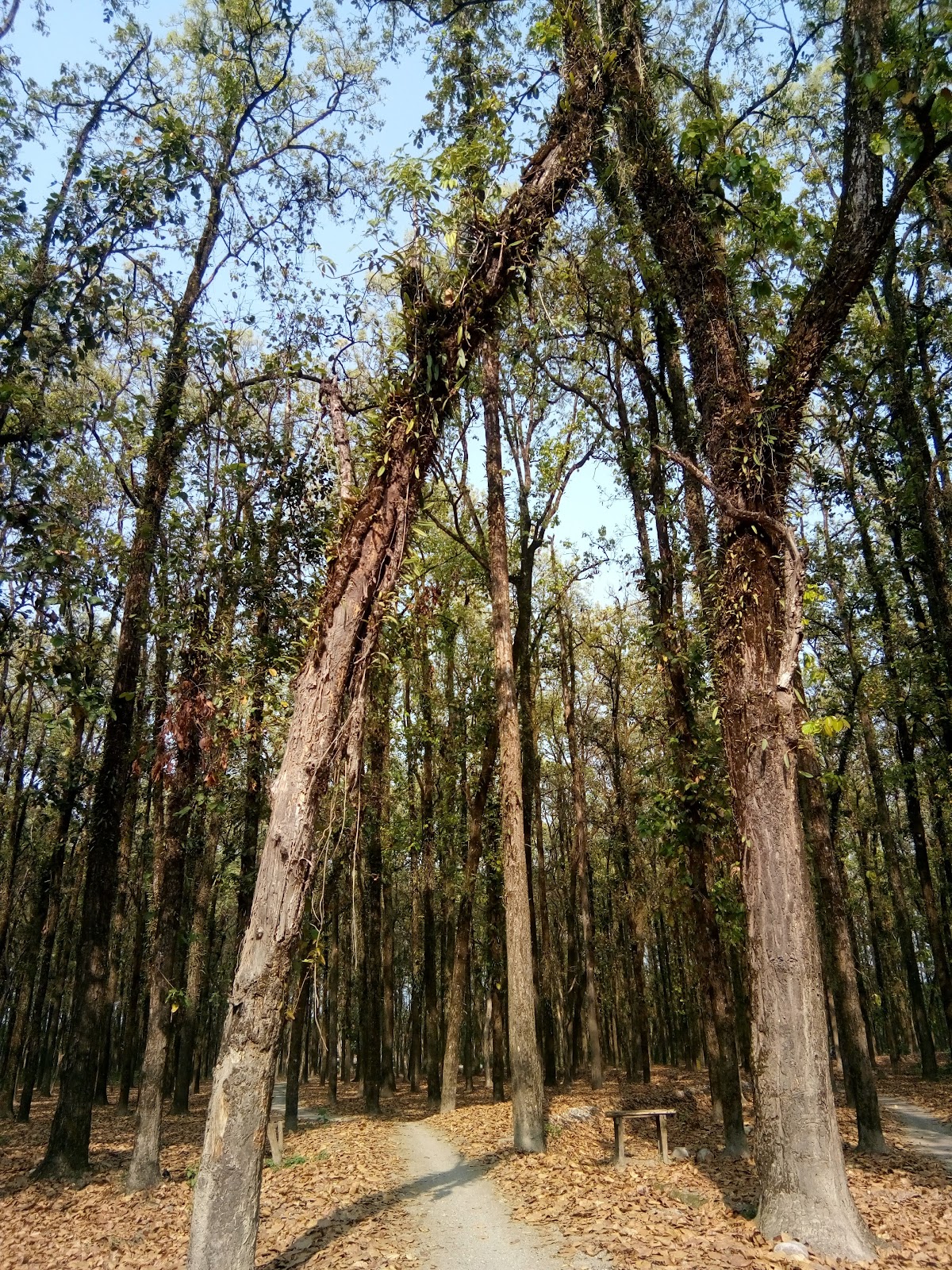 Kumargram