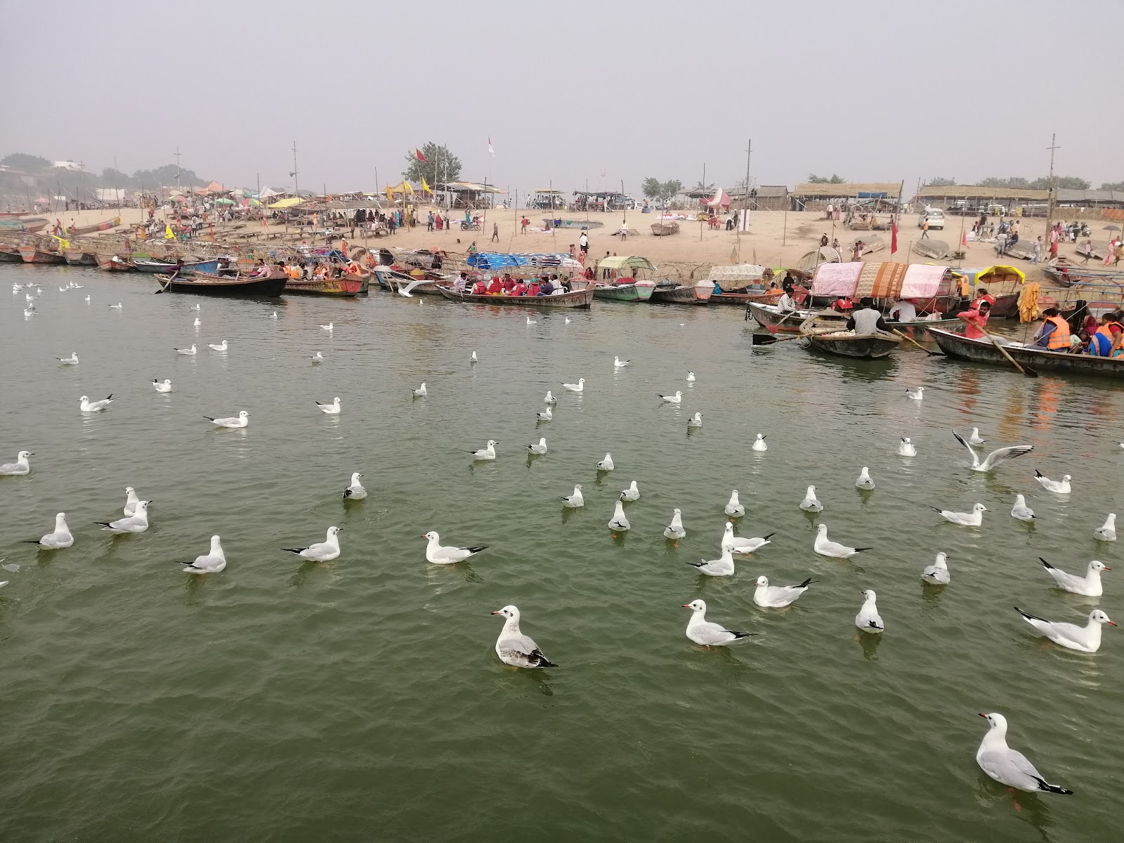 Triveni Sangam