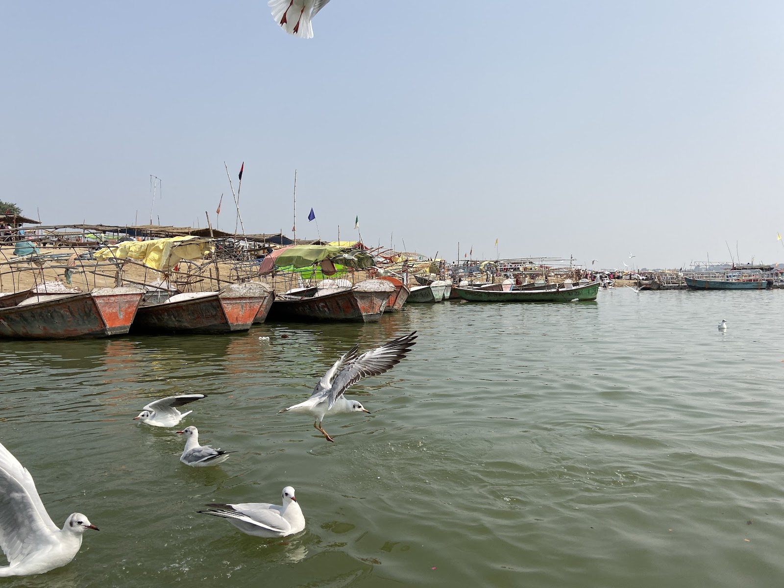 Triveni Sangam