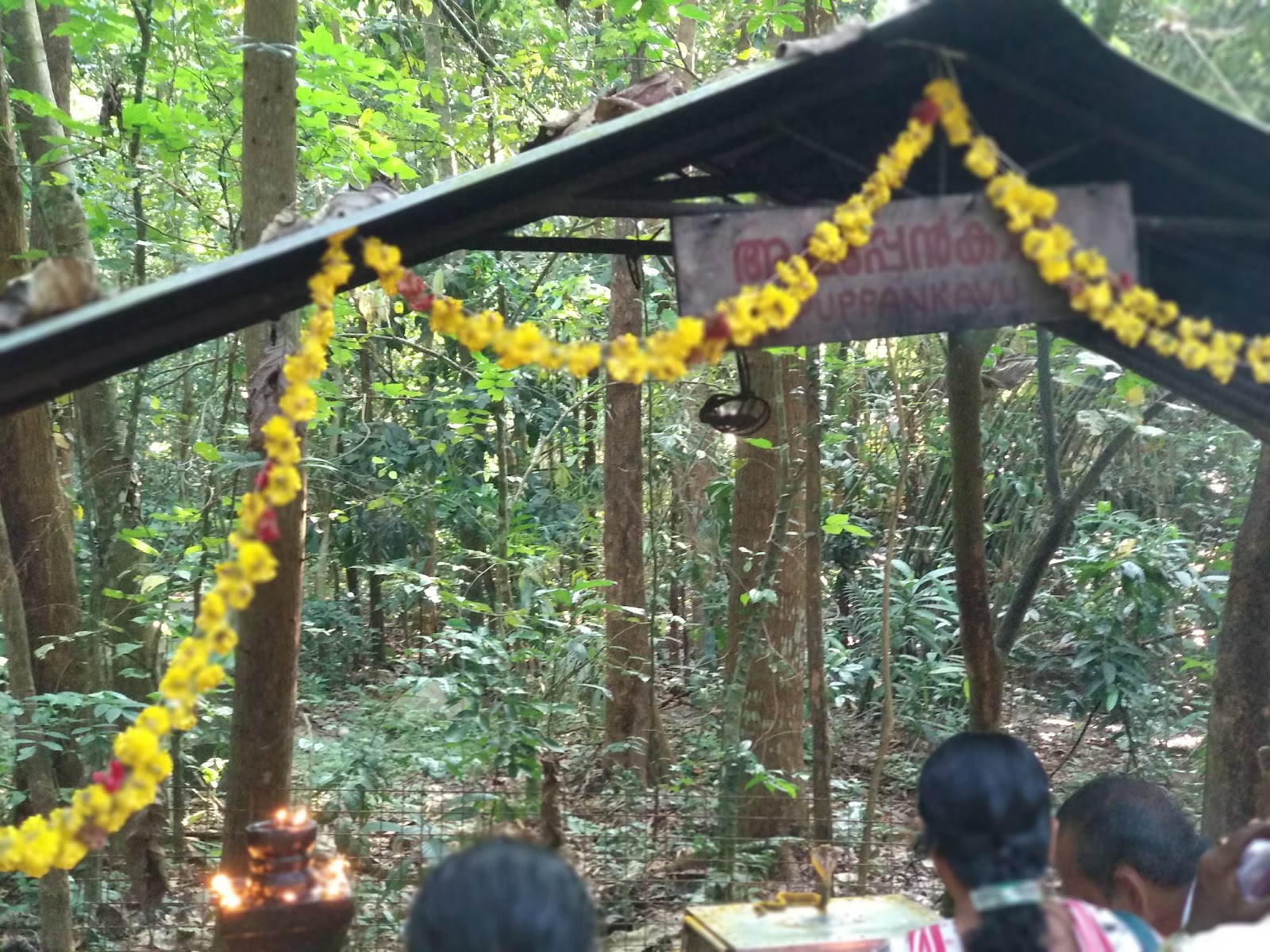Mannarasala Sree Nagaraja Temple