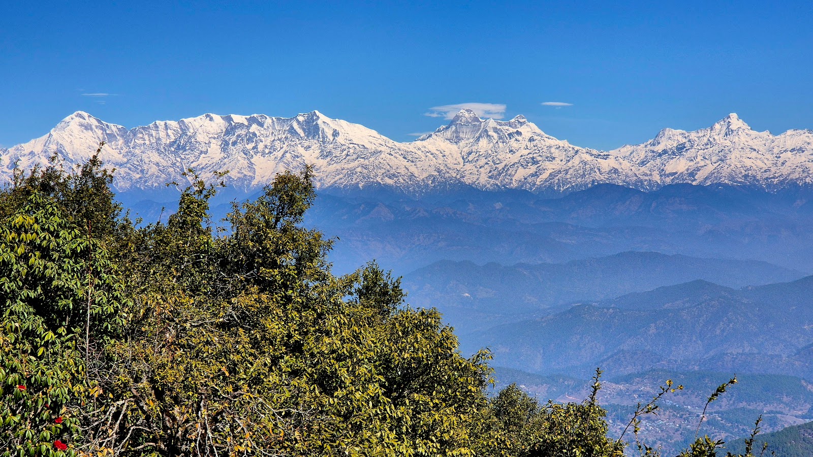 Binsar Wildlife Sanctuary