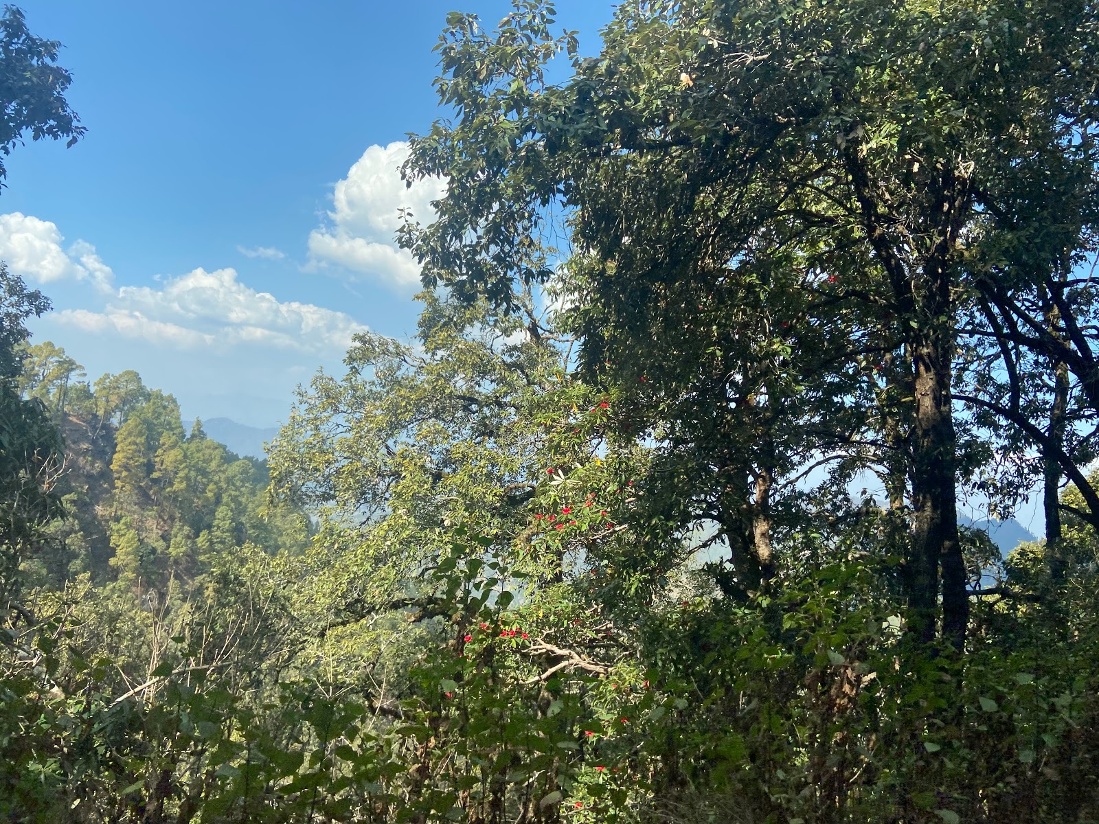 Binsar Wildlife Sanctuary