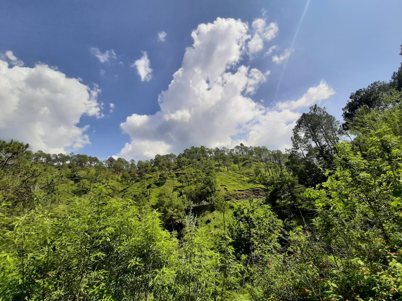 Binsar Wildlife Sanctuary