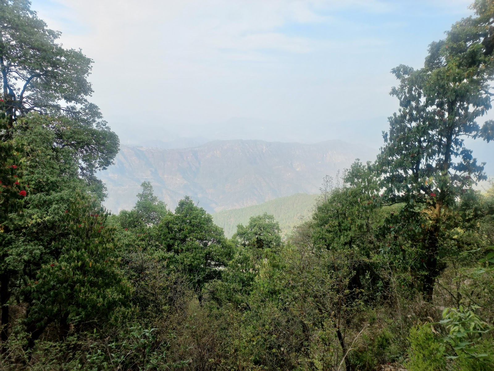 Binsar Wildlife Sanctuary