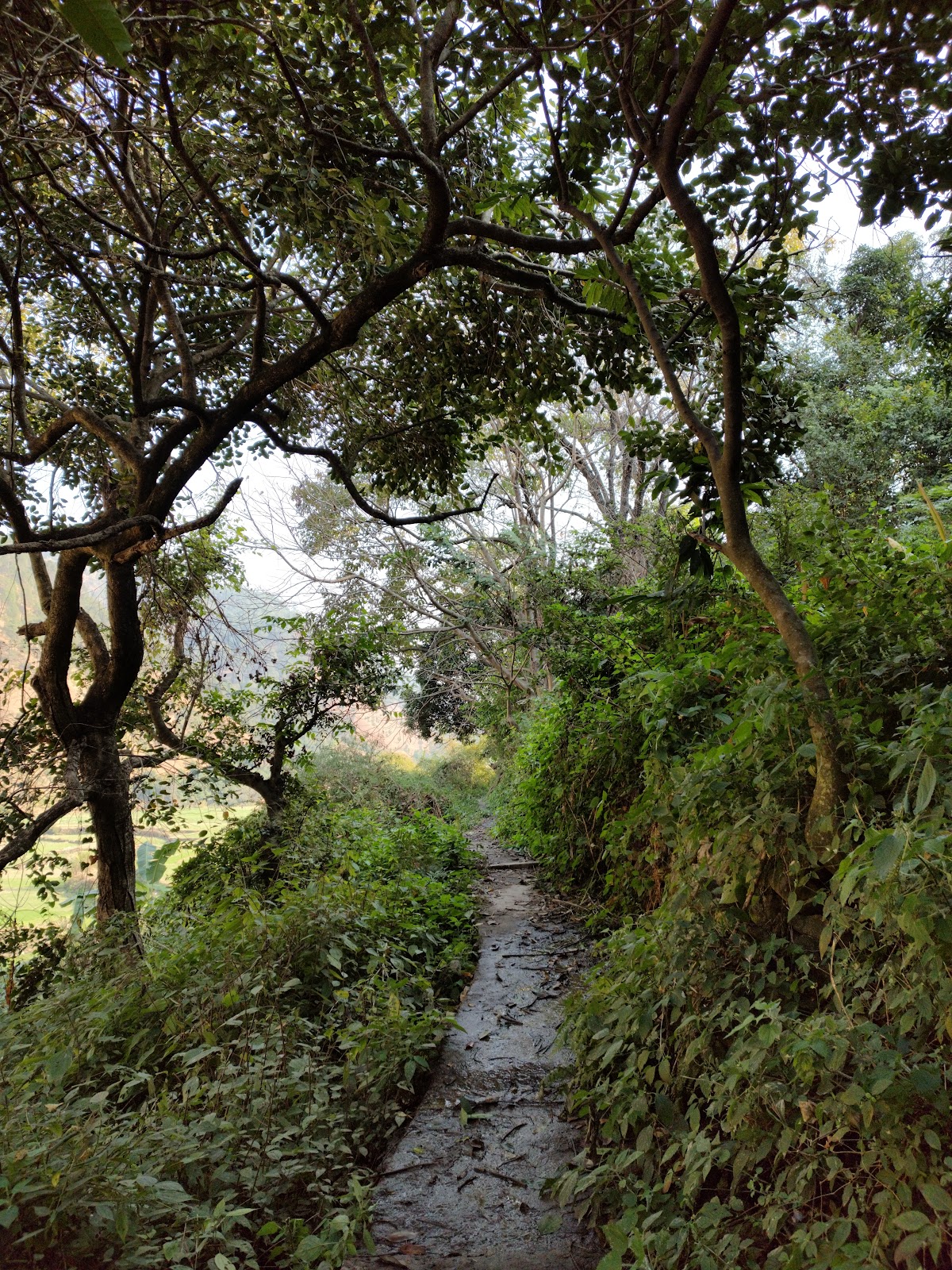 Binsar Wildlife Sanctuary