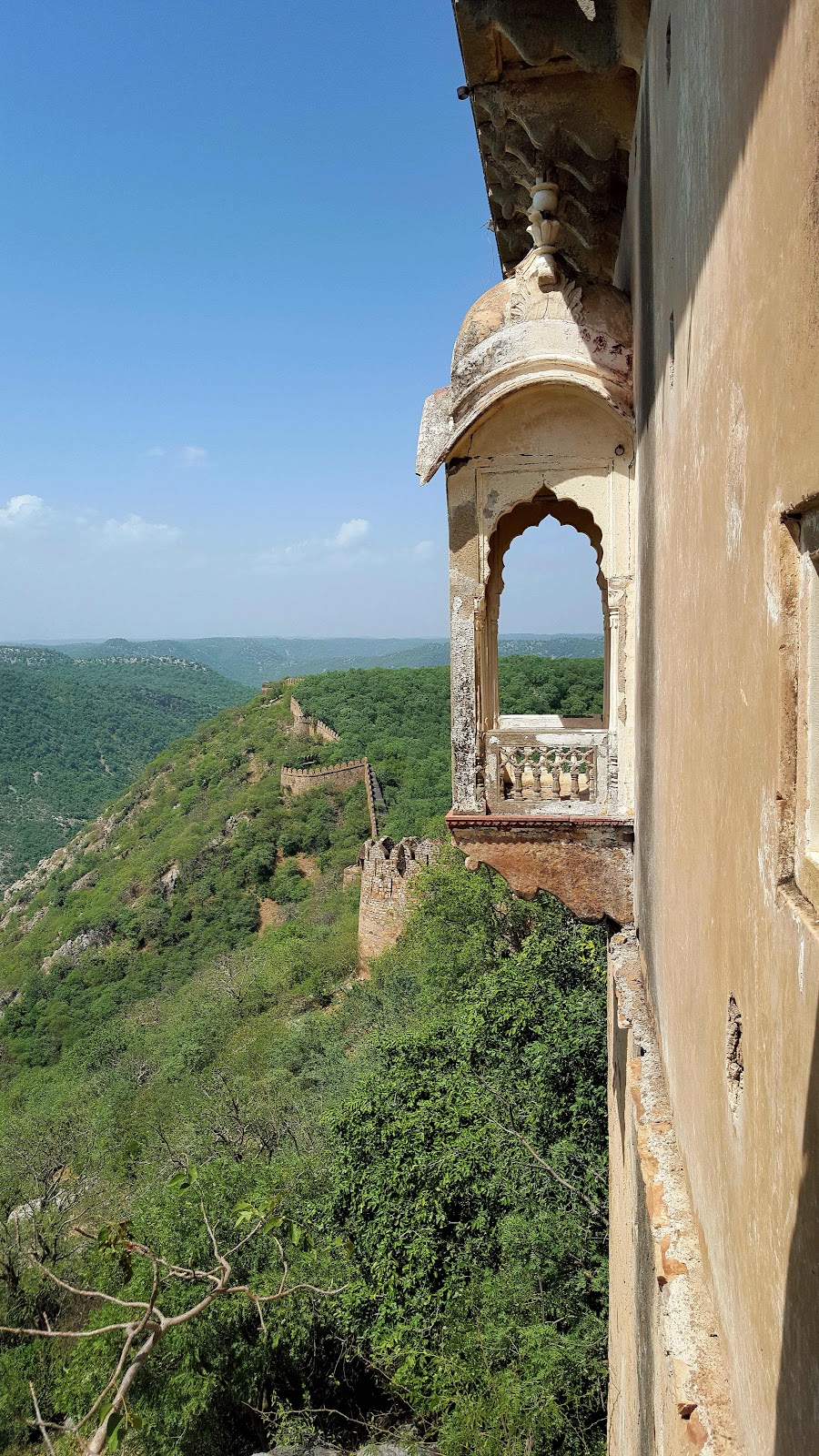Bala Qila Fort