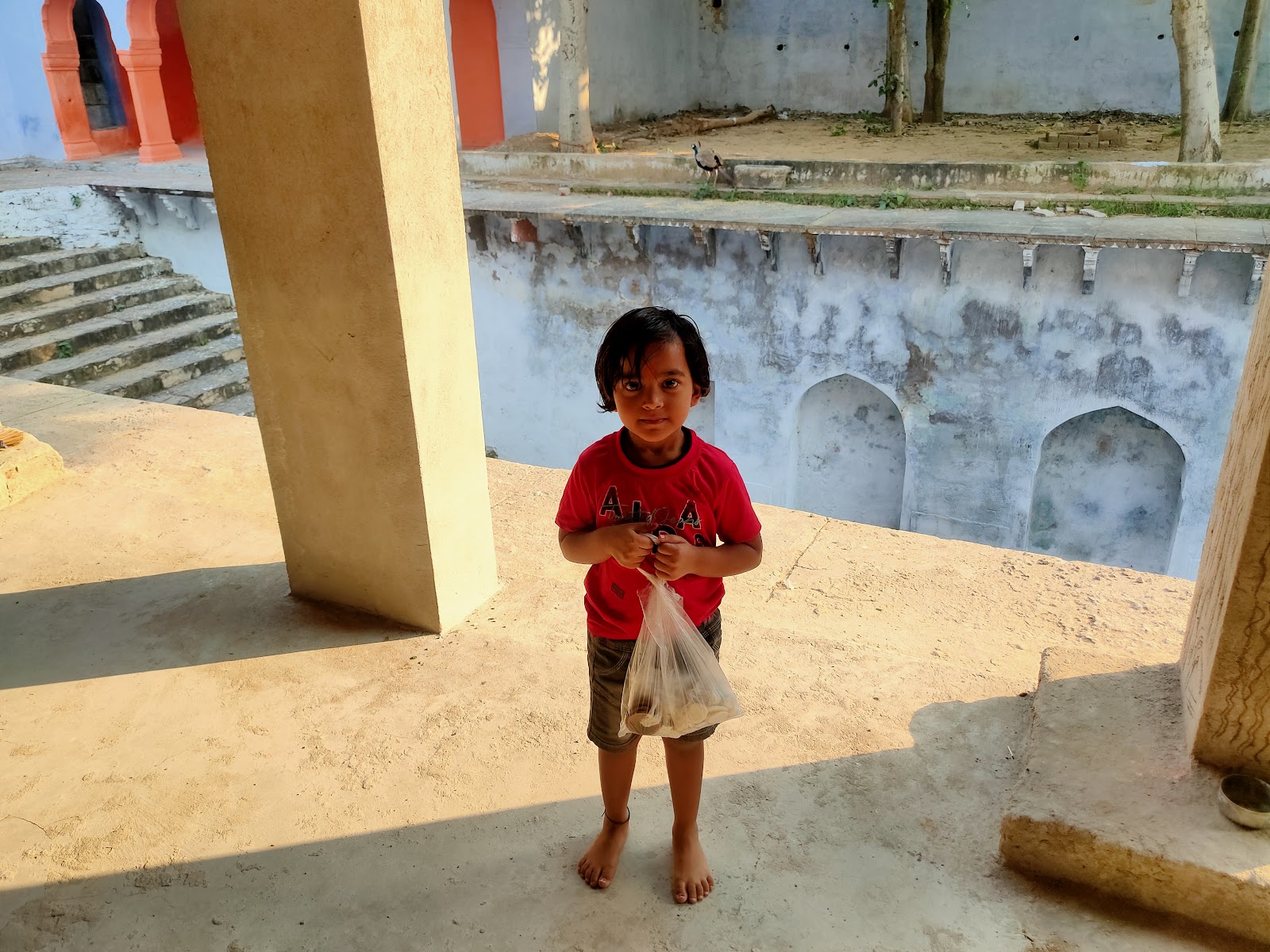 Local Stepwells and Havelis Walk