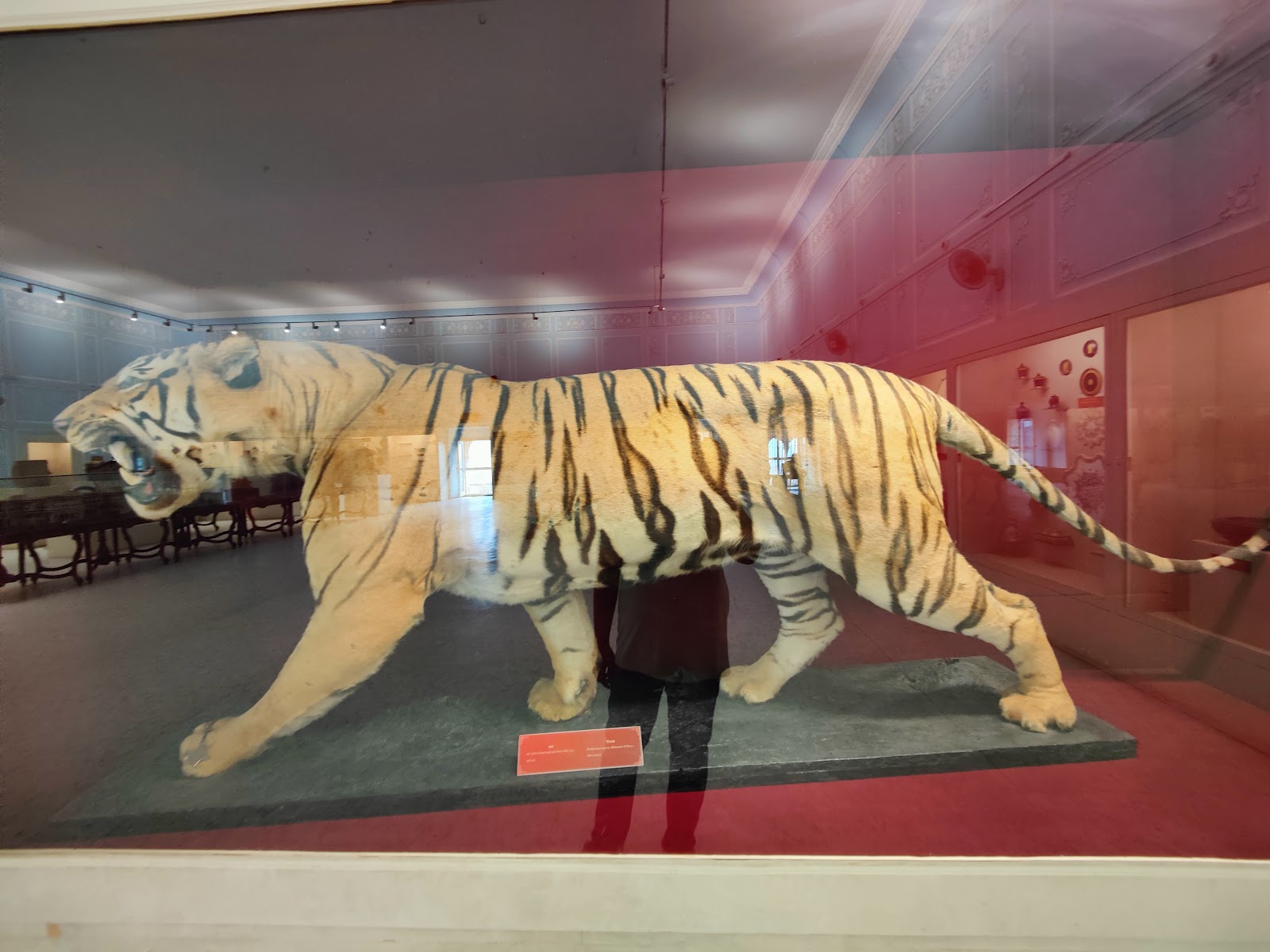 Vinay Vilas Mahal Museum