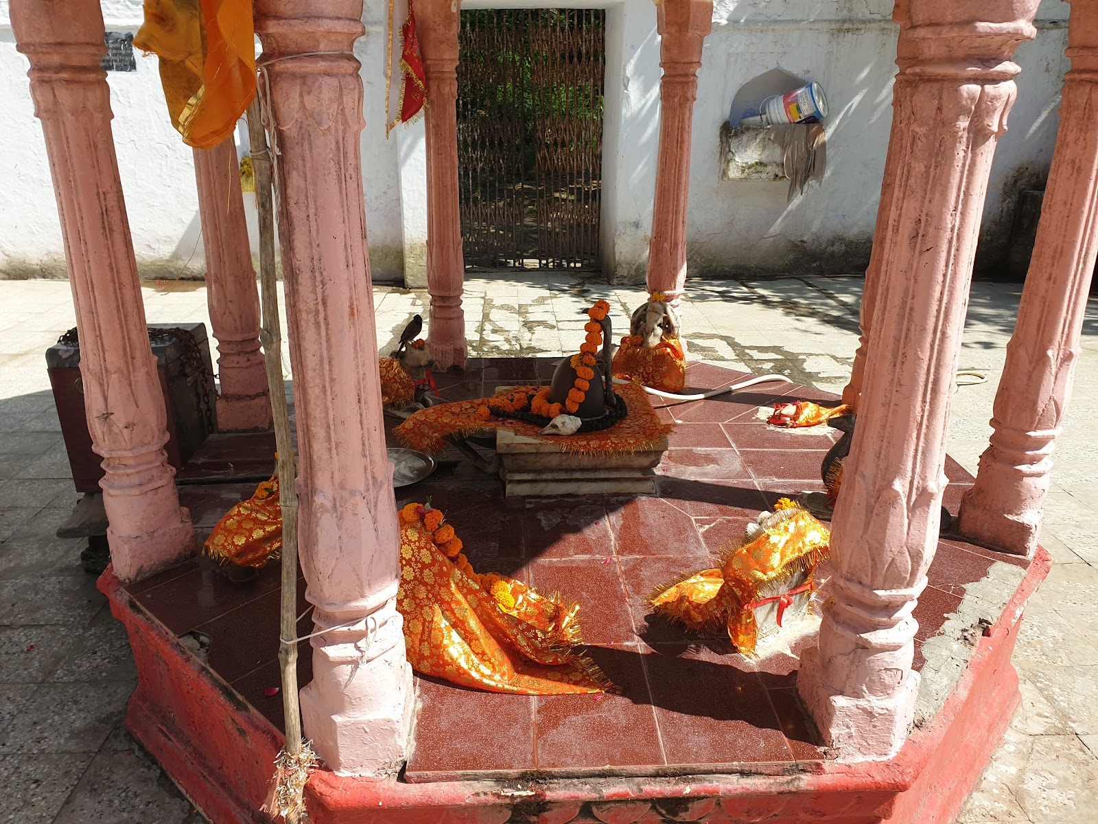 Karni Mata Temple