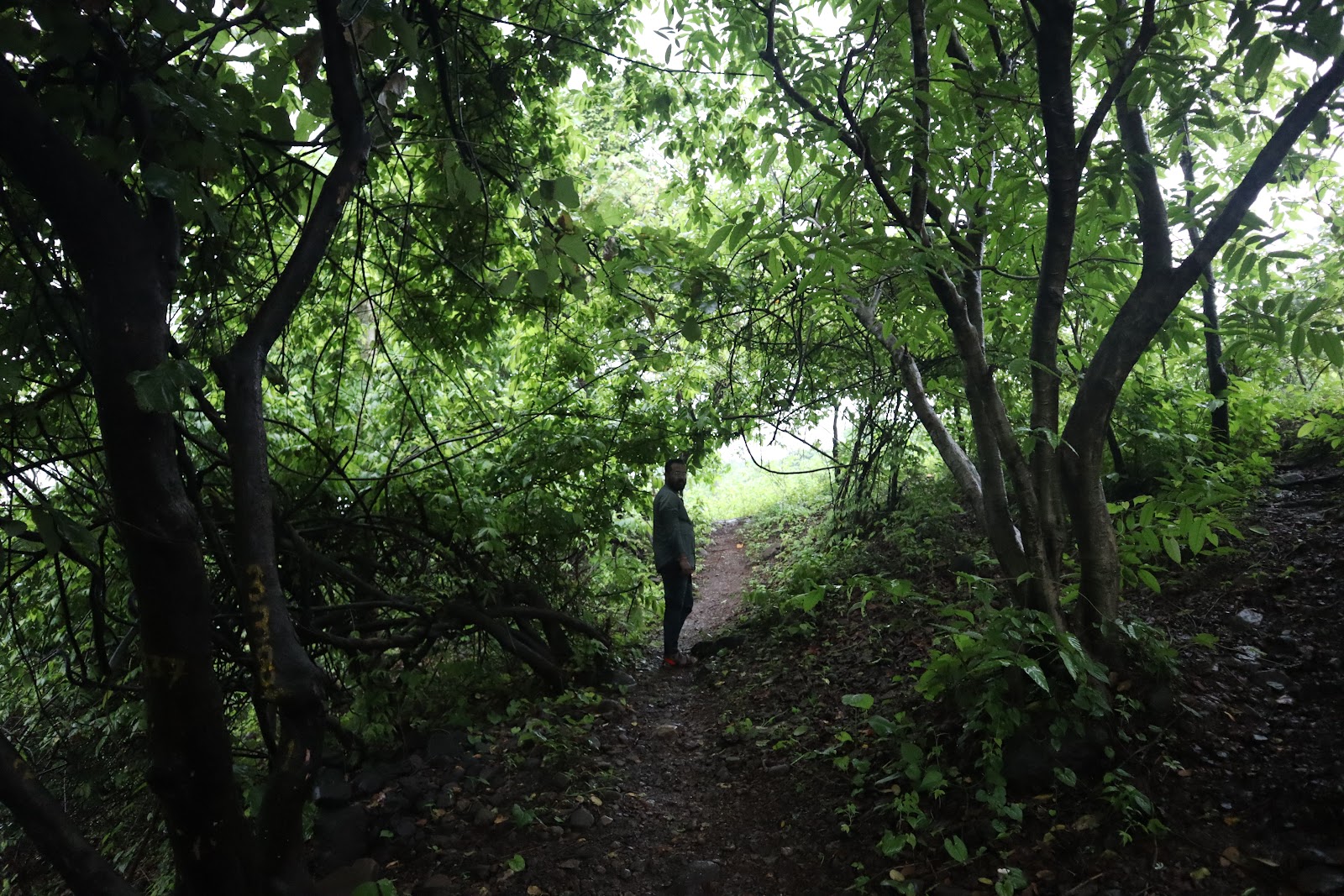 Waterfalls near Ambernath