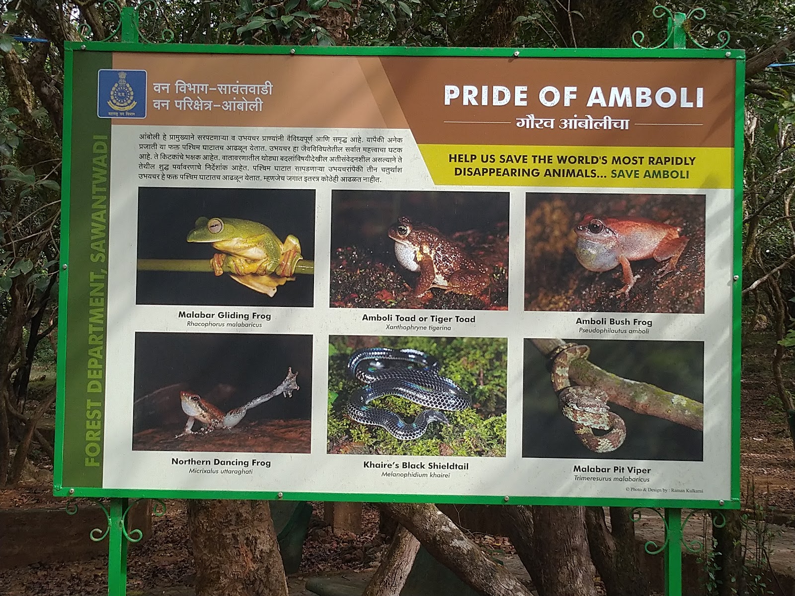 Amboli Eco Park