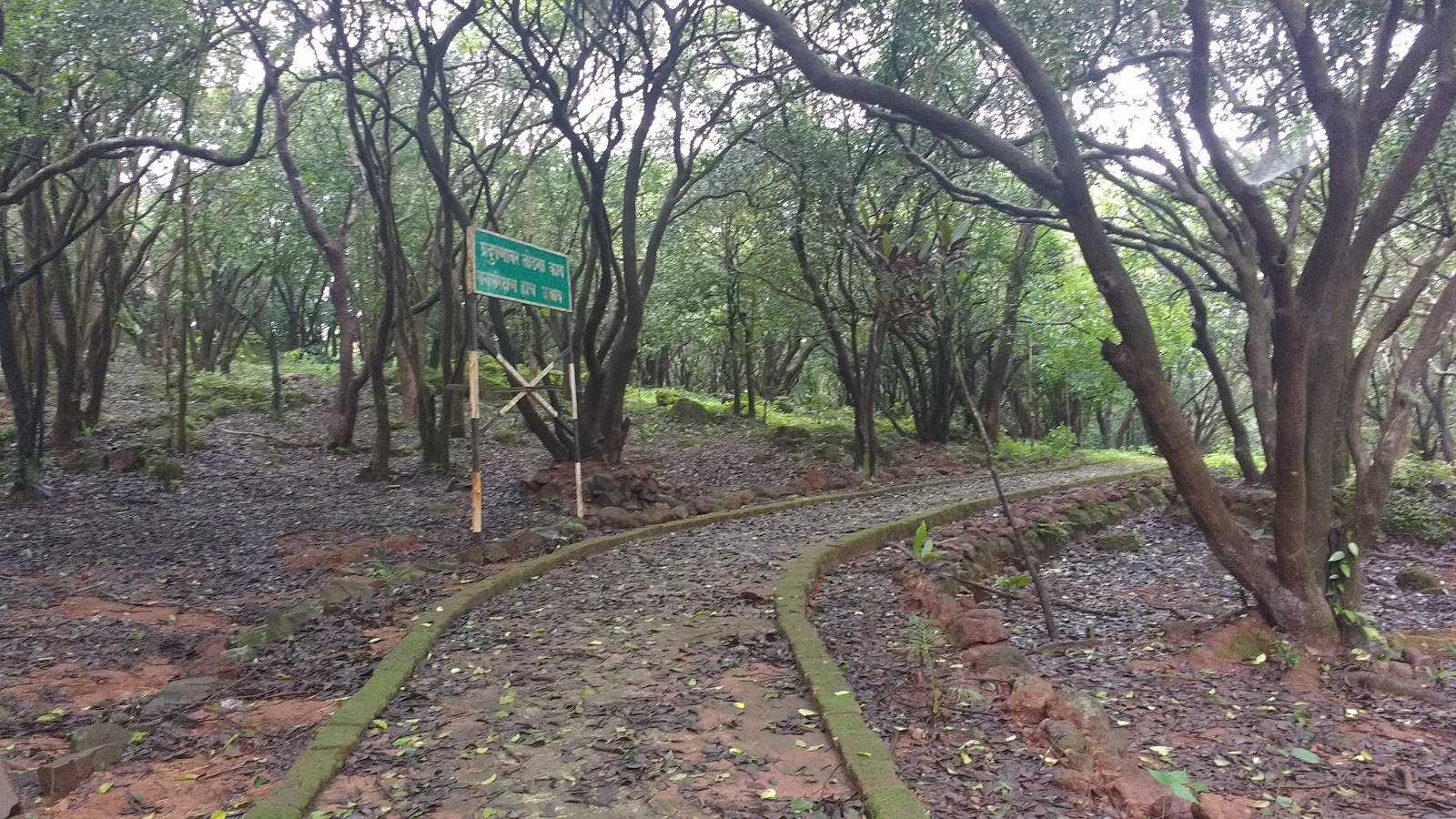 Amboli Eco Park