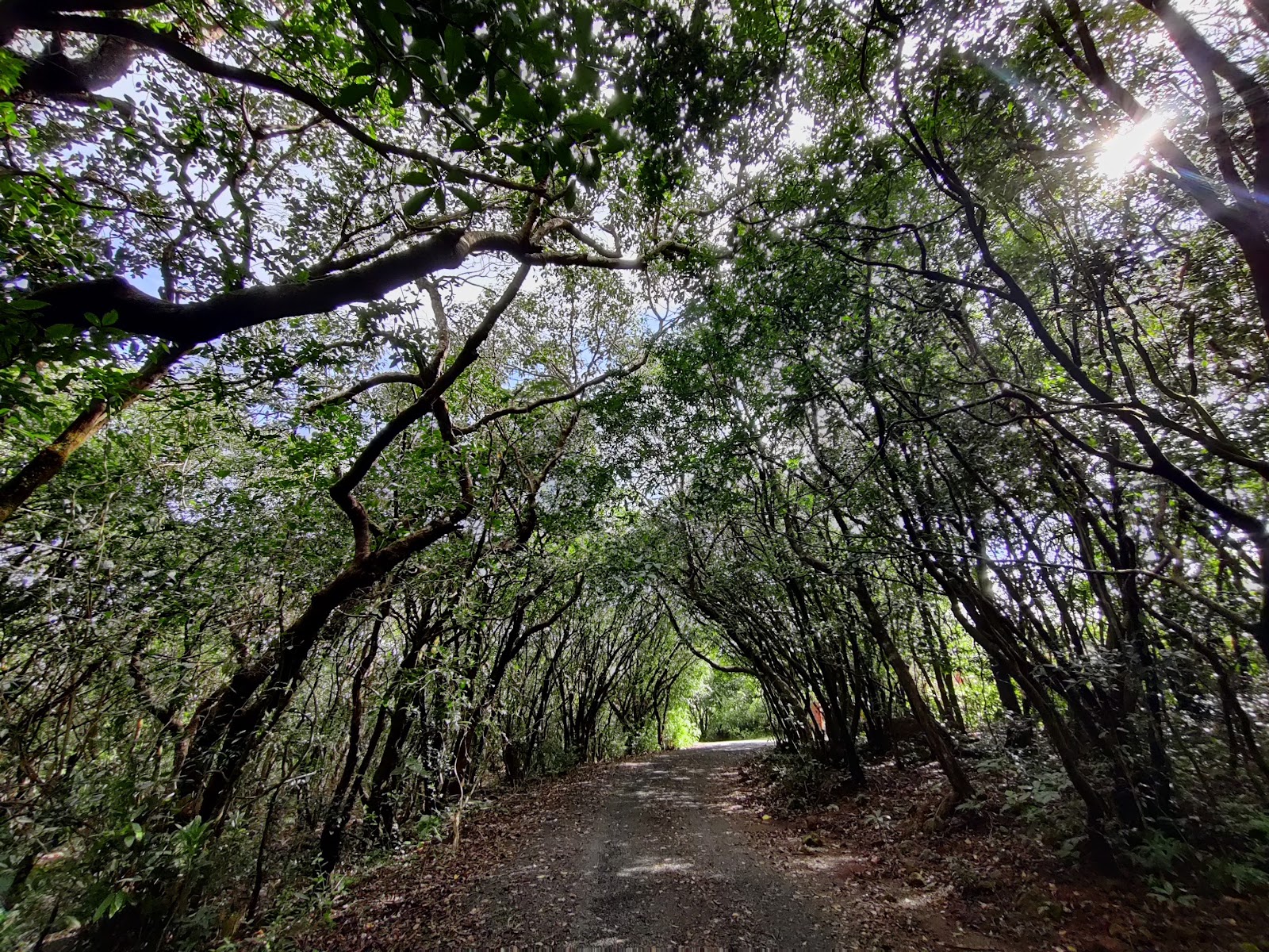 Amboli Eco Park