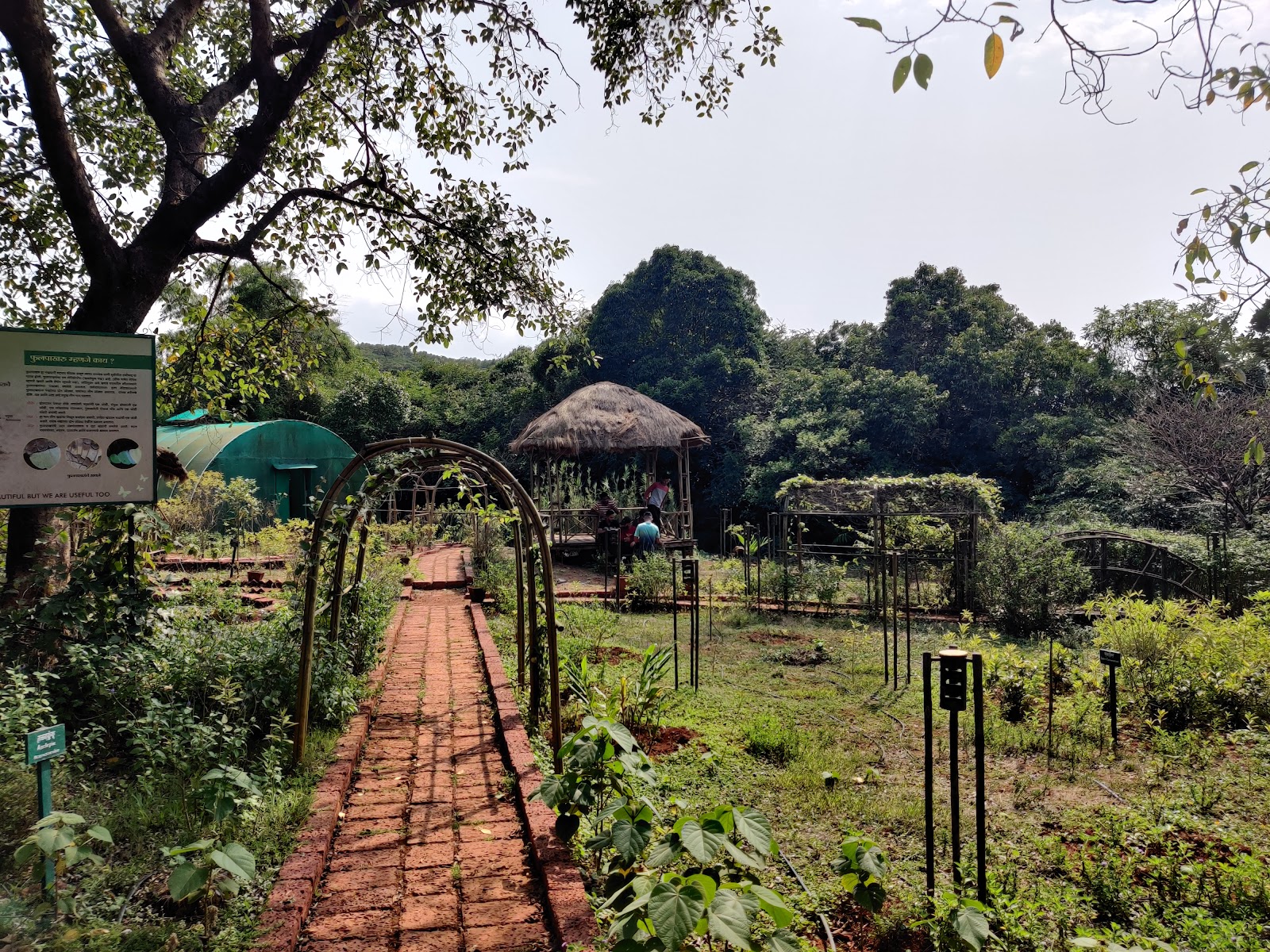 Amboli Eco Park