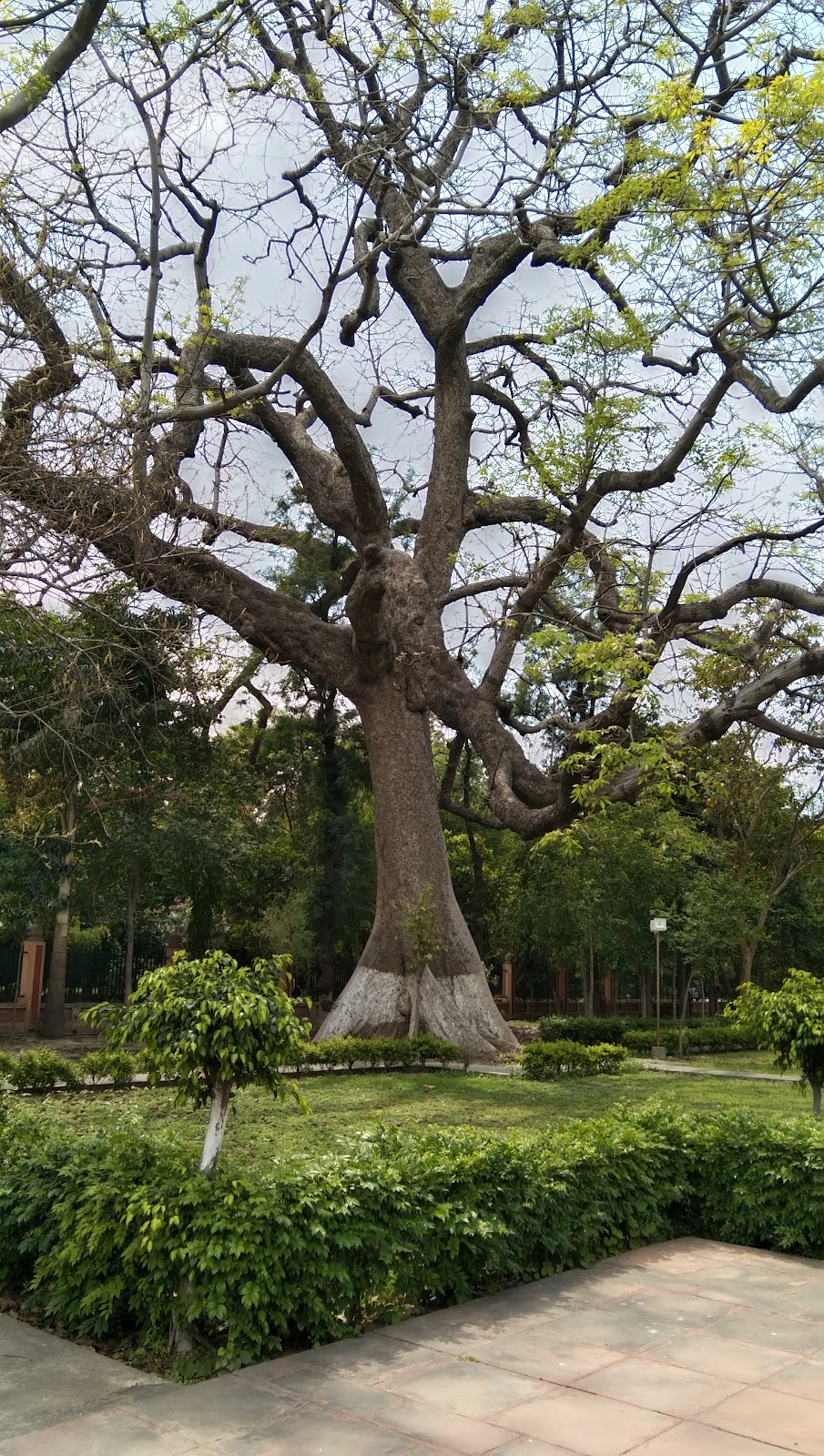 Maharaja Ranjit Singh Museum