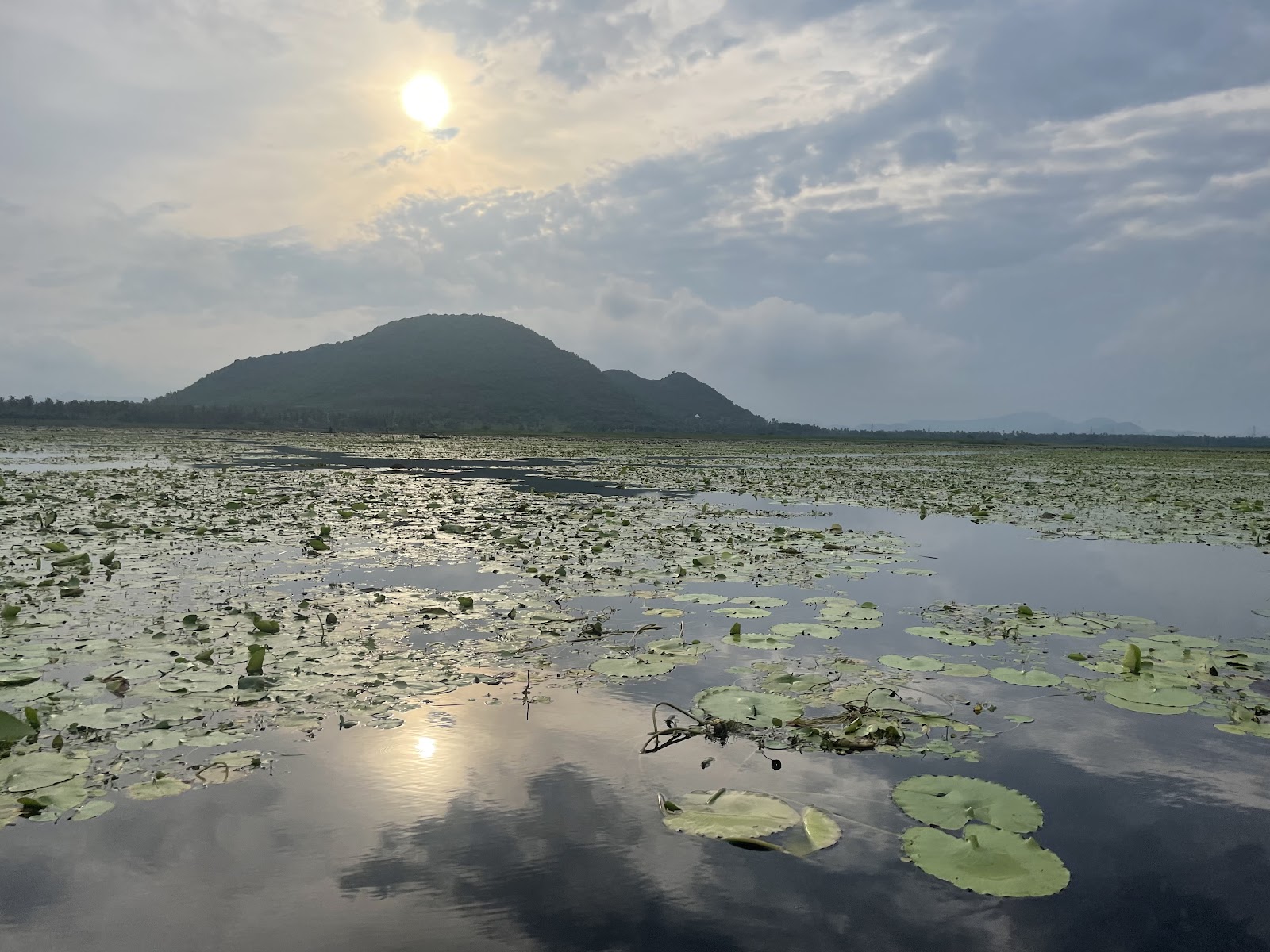 Anakapalle - A Cultural Gem in Andhra Pradesh
