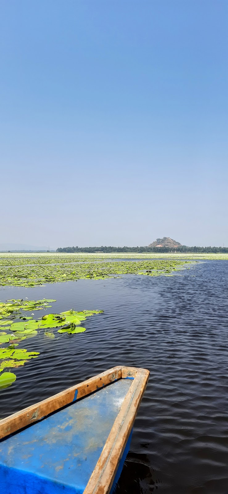 Kondakarla Ava Bird Sanctuary