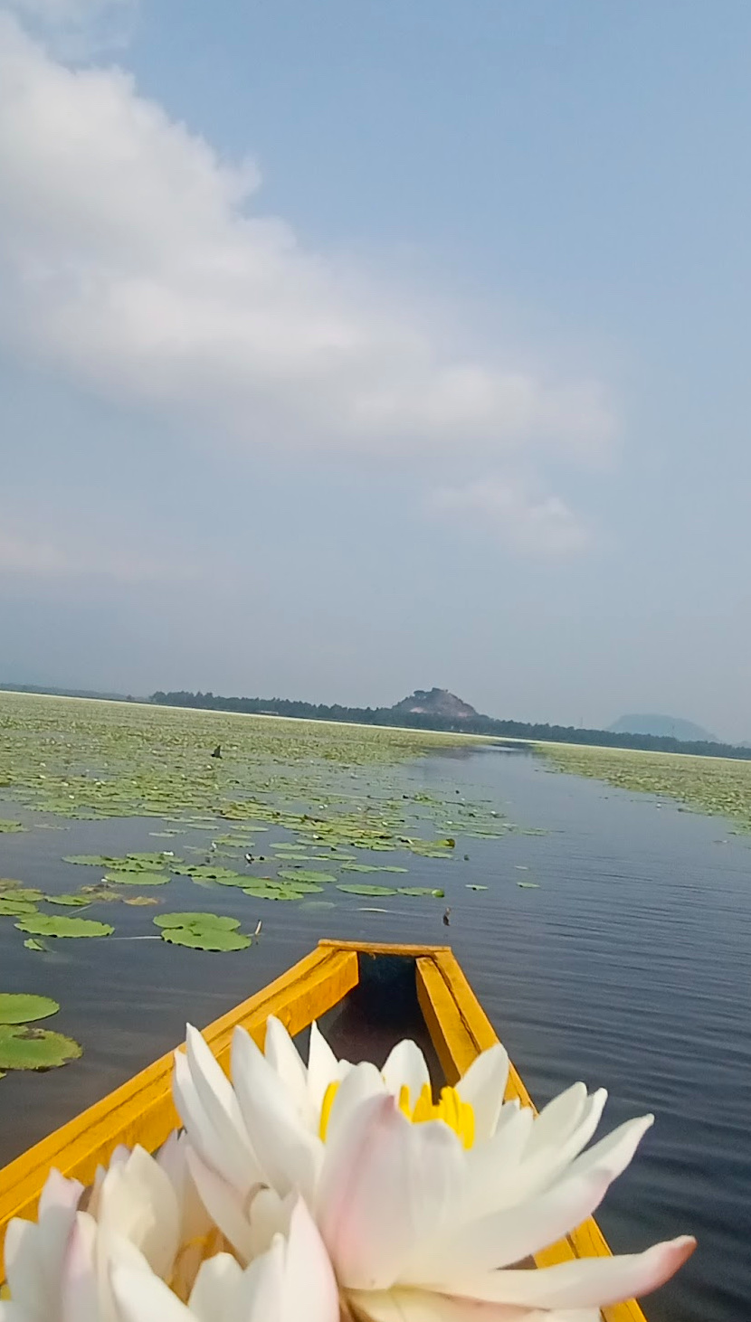Kondakarla Ava Bird Sanctuary