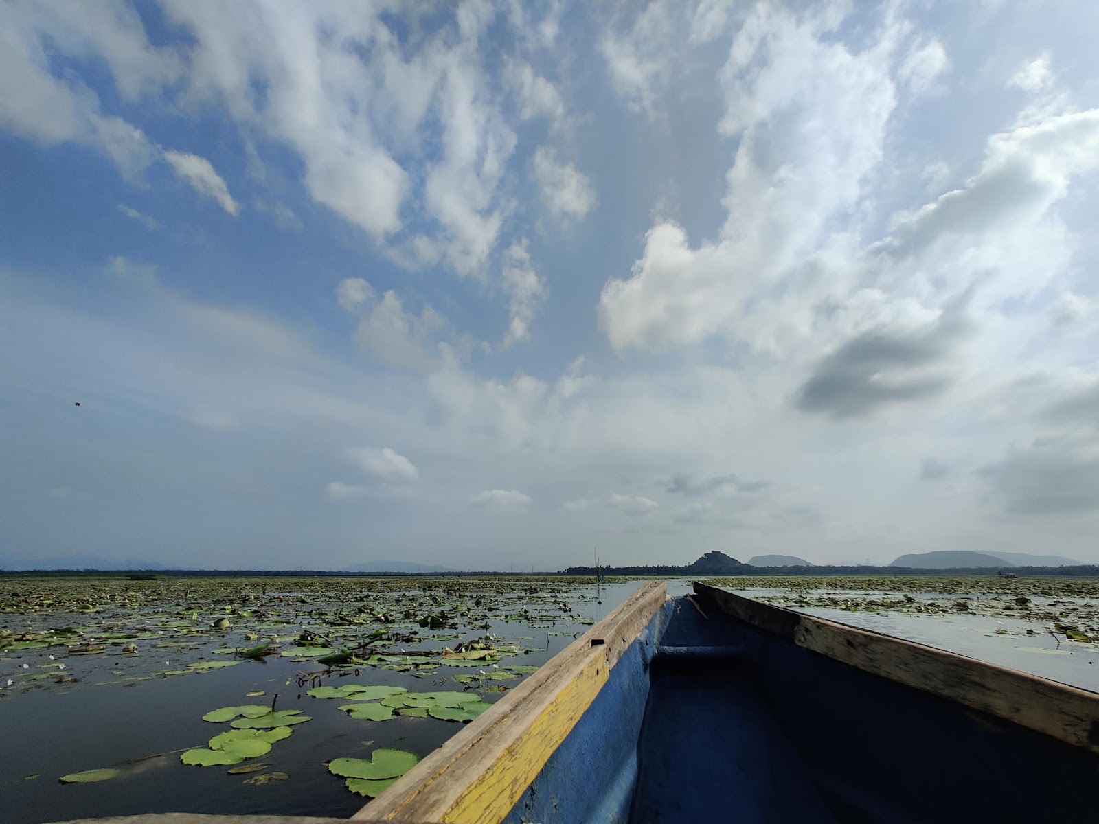 Kondakarla Ava Bird Sanctuary