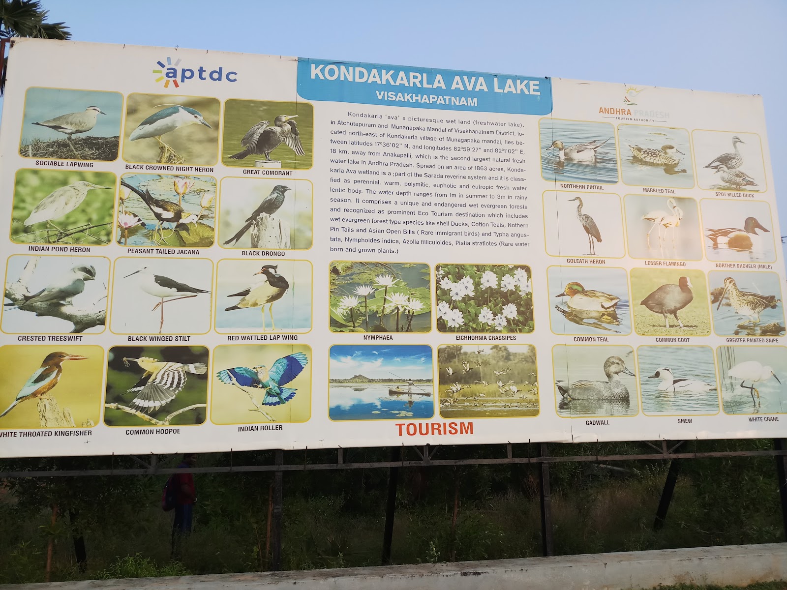 Kondakarla Ava Bird Sanctuary