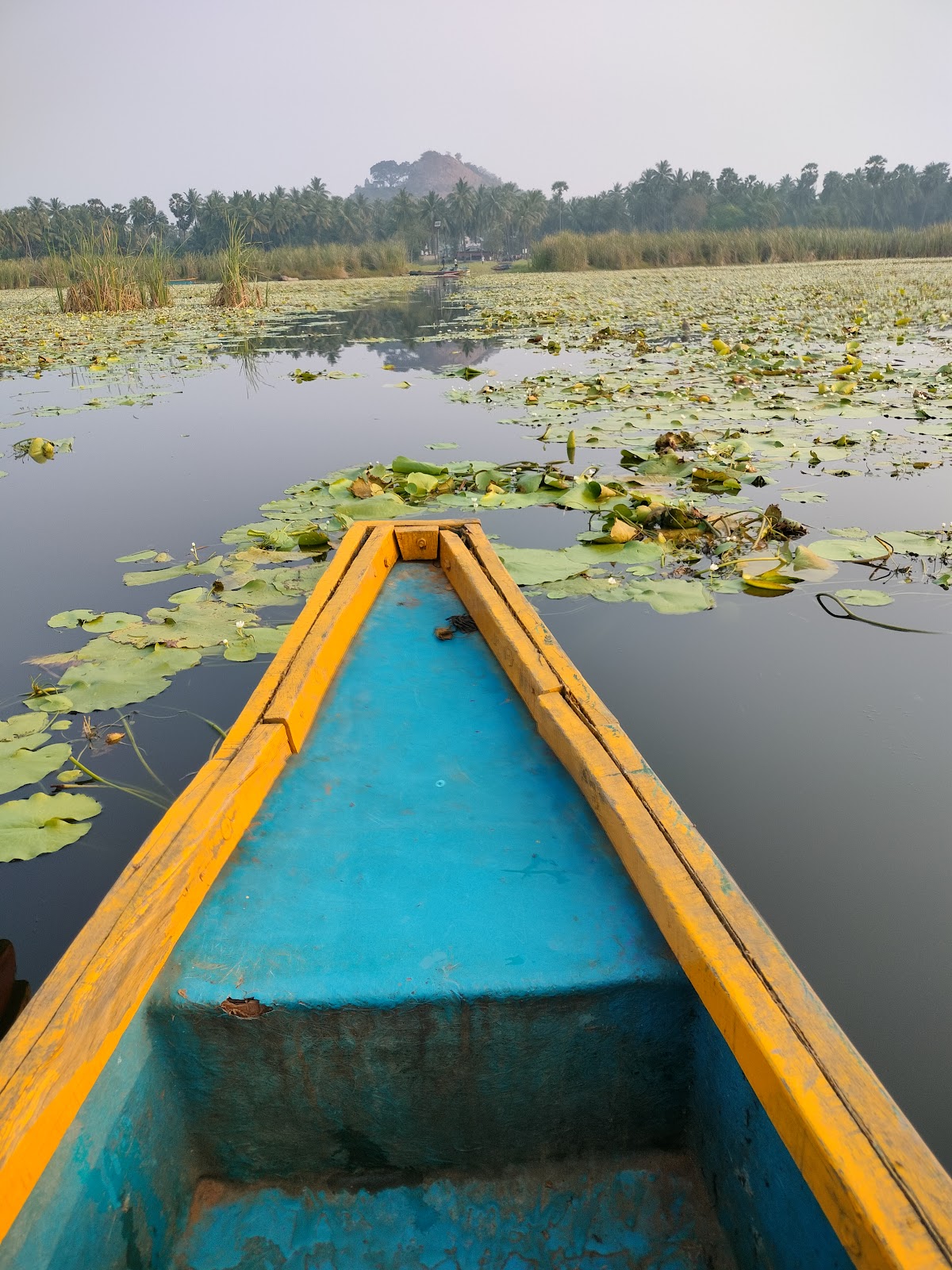 Kondakarla Patanam Lakeside