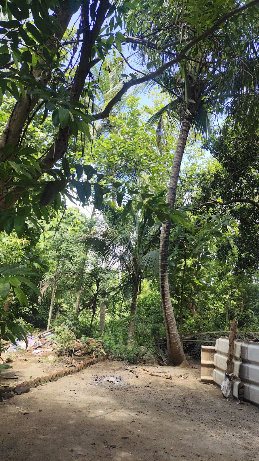 Village Walks in Surrounding Mandals