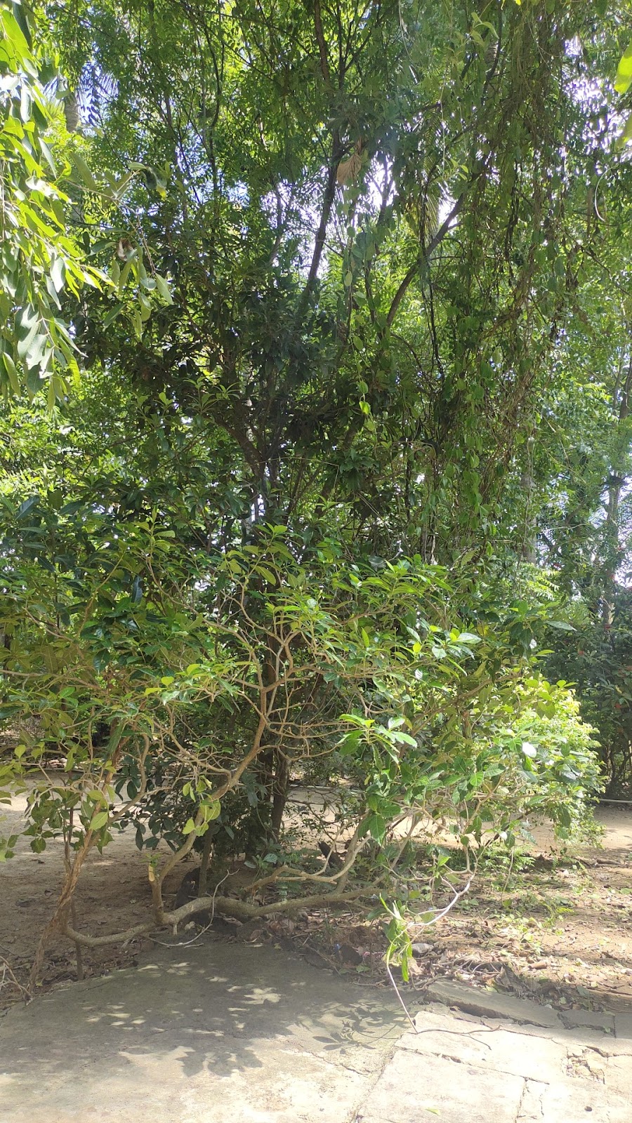 Village Walks in Surrounding Mandals