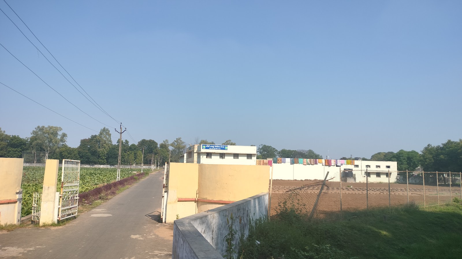 Anand Agricultural University