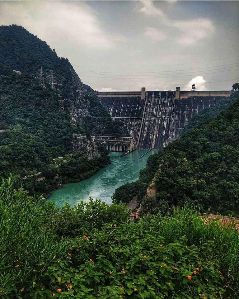Bhakra Dam