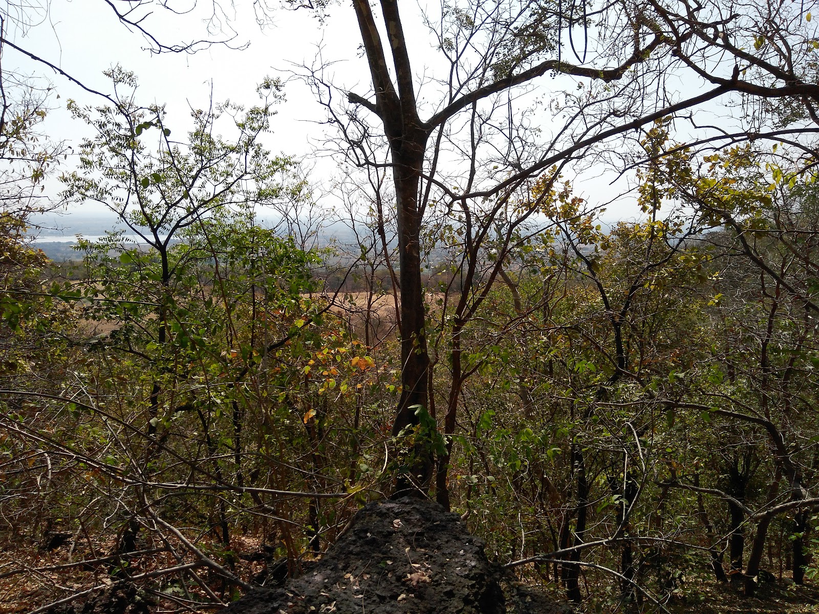 Ananthagiri Hills Viewpoint