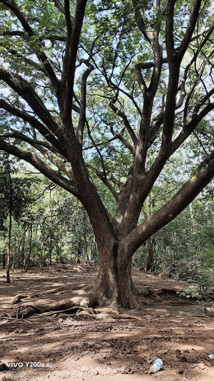 Ananthagiri Hills Viewpoint