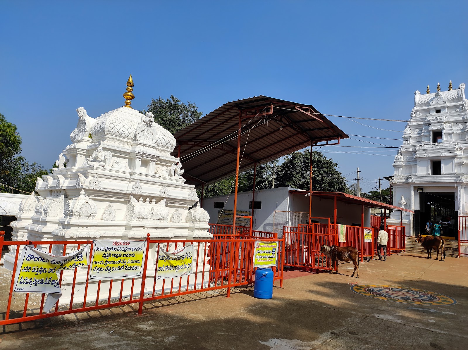 Ananthagiri Hills - A Serene Hill Station in Telangana