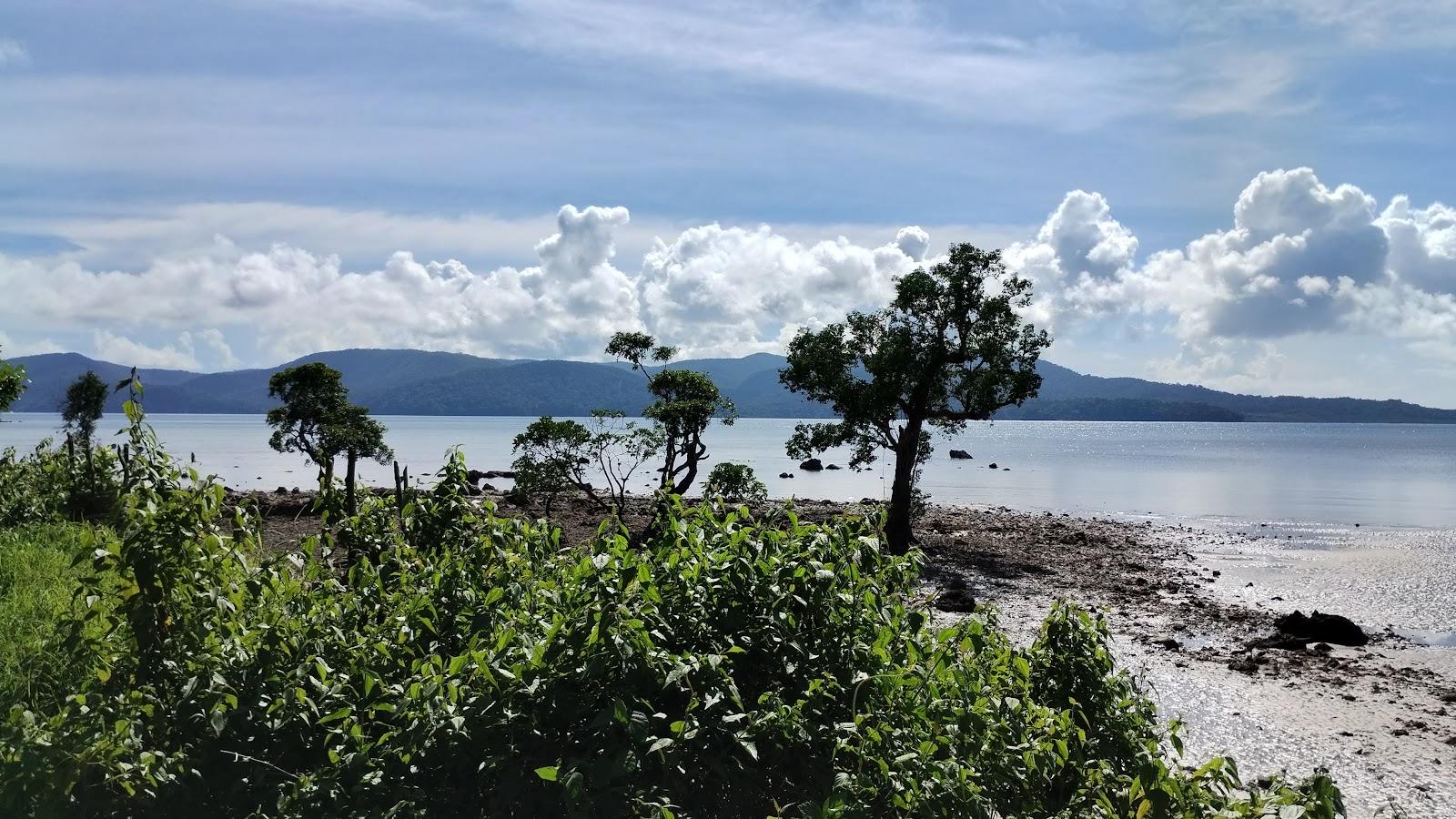 Chidiya Tapu Bird Island