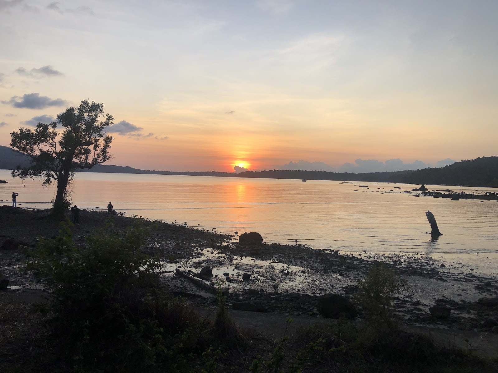 Chidiya Tapu Bird Island