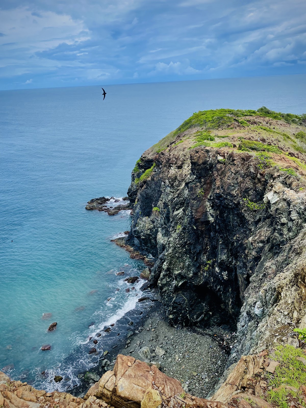 Chidiya Tapu Bird Island